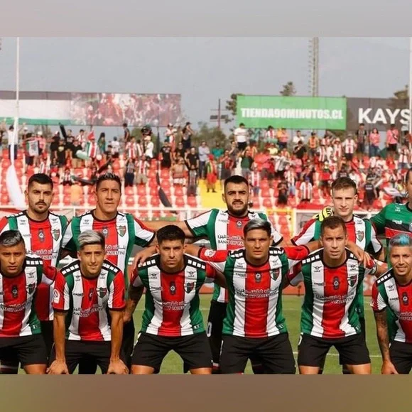 RETRO C.D. Palestino (Chile) 2020 Jersey - Picture 6 of 6